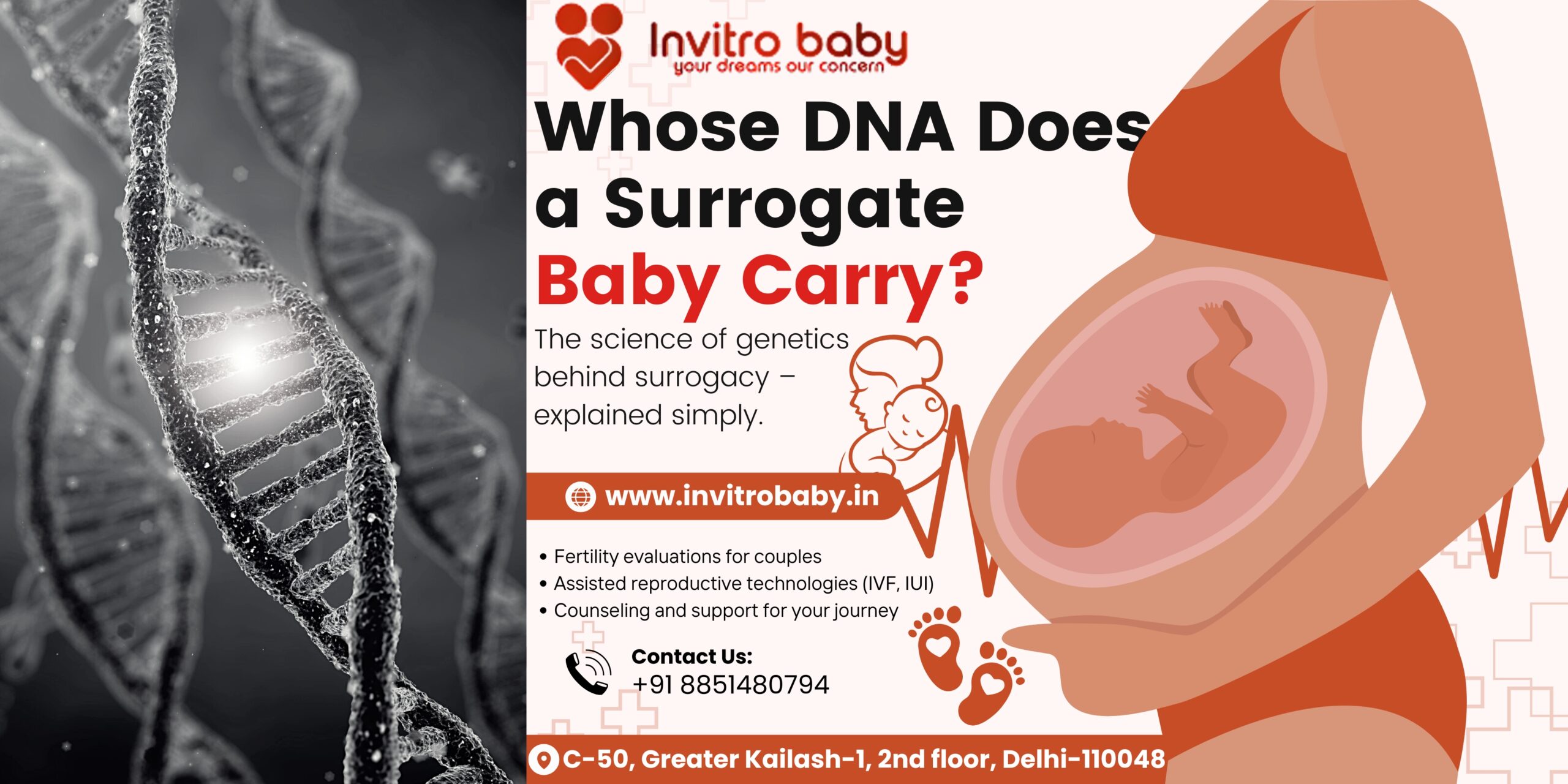 Whose DNA Surrogate Baby - Genetics of Surrogacy Explained