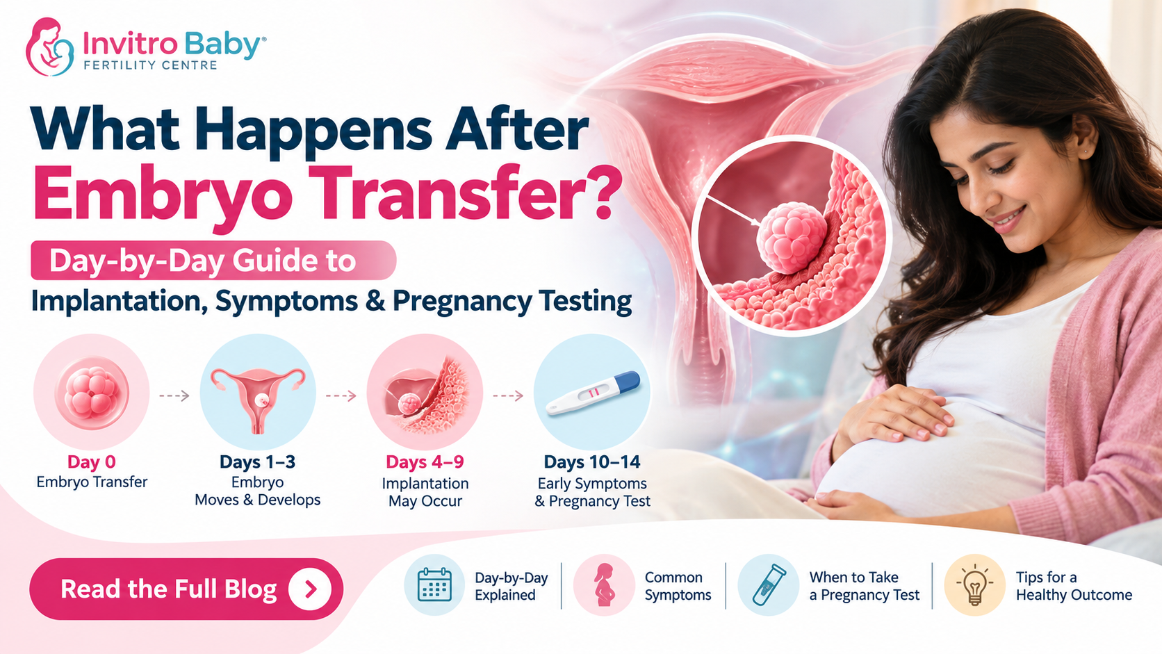 What Happens After Embryo Transfer - Day-by-Day Guide to Implantation, Symptoms & Pregnancy Testing